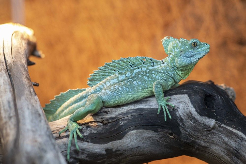 Photograph by Мураков Максим