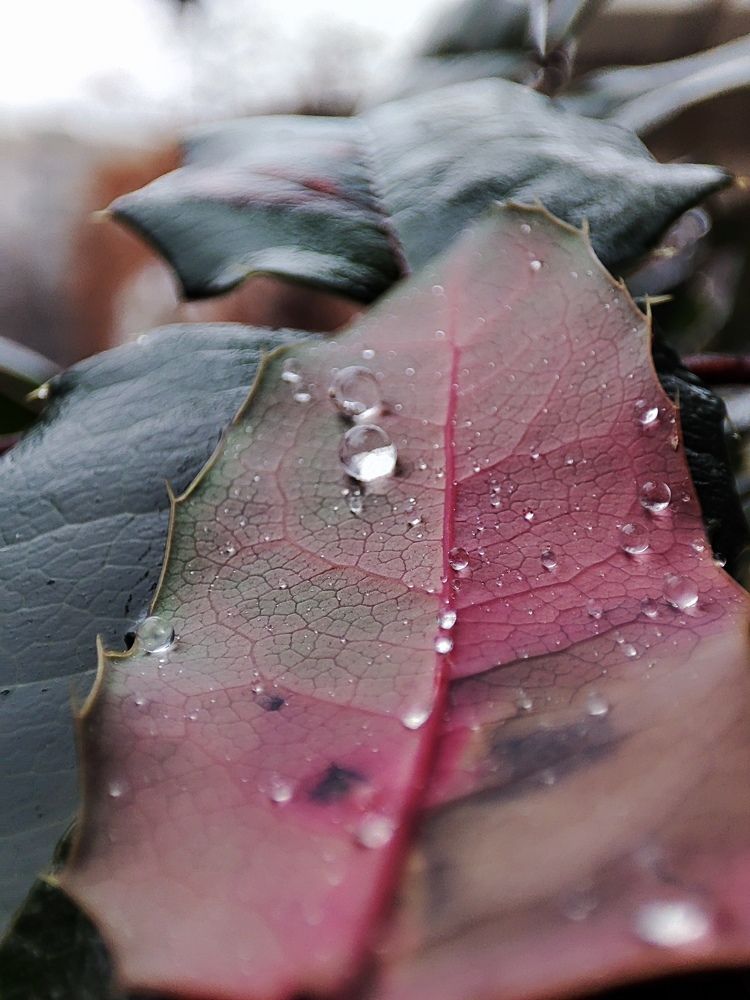 Photograph by Луиза Баширова