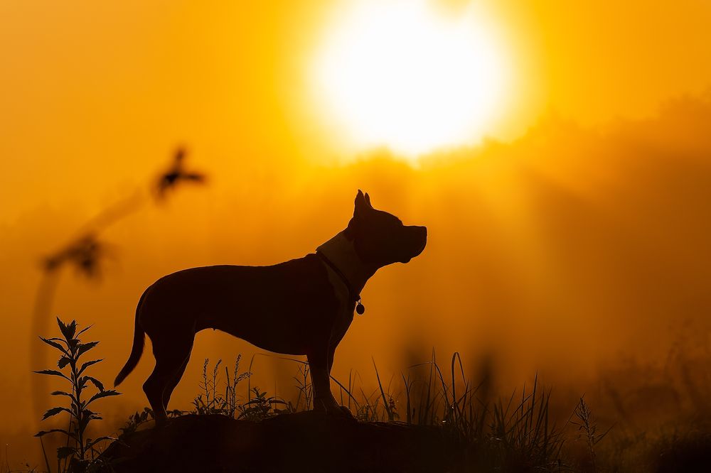 Фотография автора Мария Тигунова