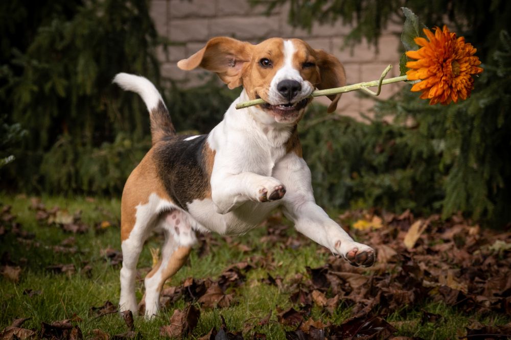 Photograph by Dina Damotseva