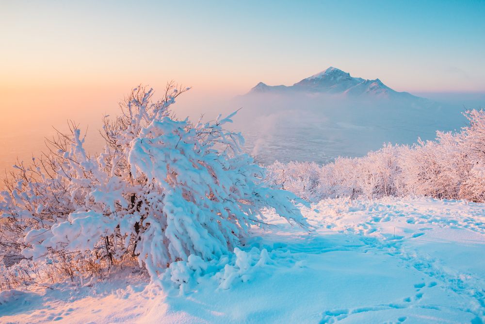 Photograph by Саша Козырев