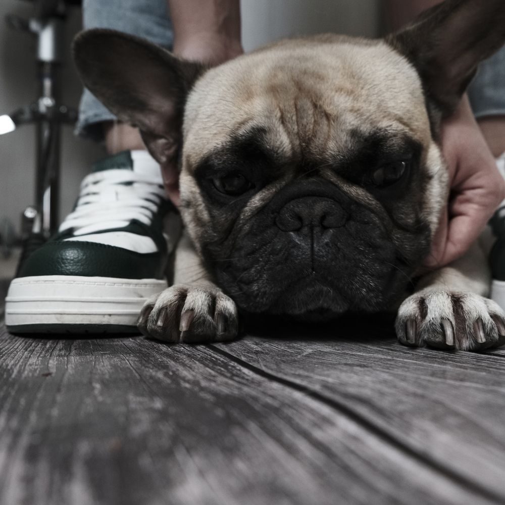 Photograph by Ирина