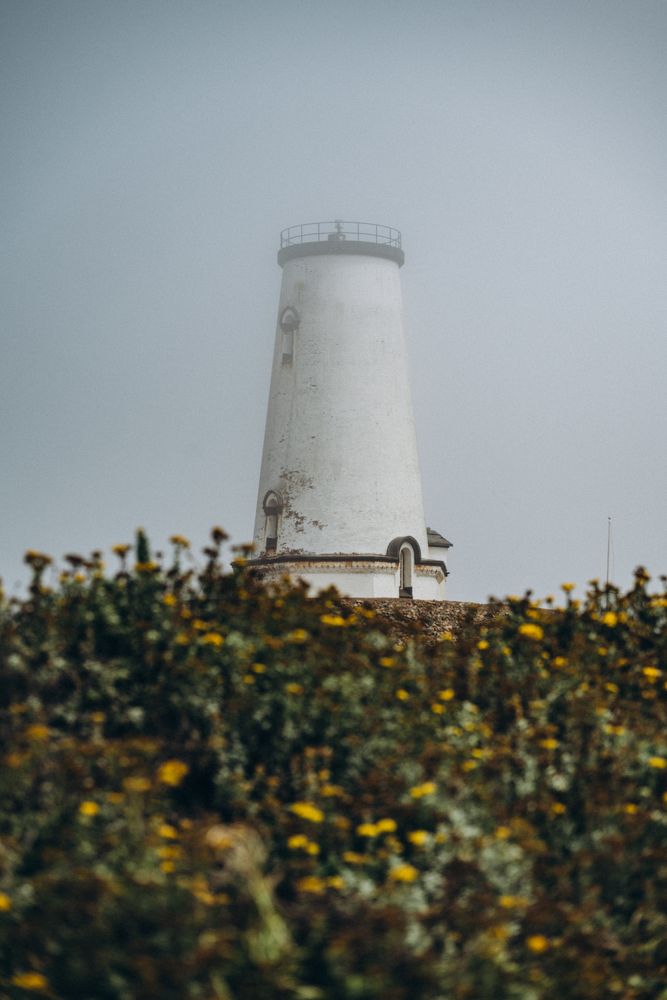 Photograph by Anna Vlasova