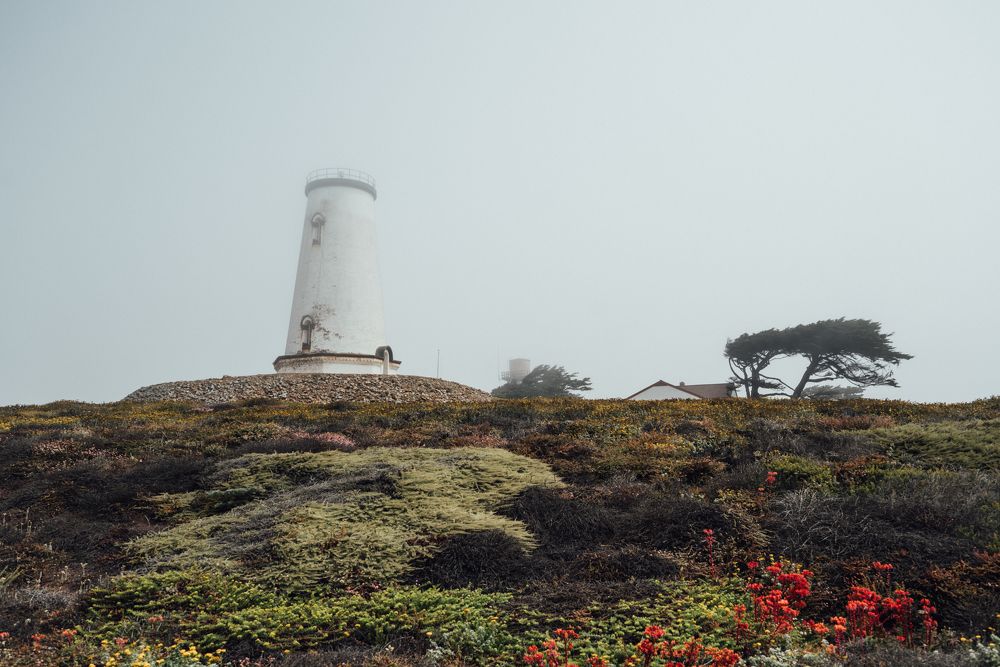 Photograph by Anna Vlasova