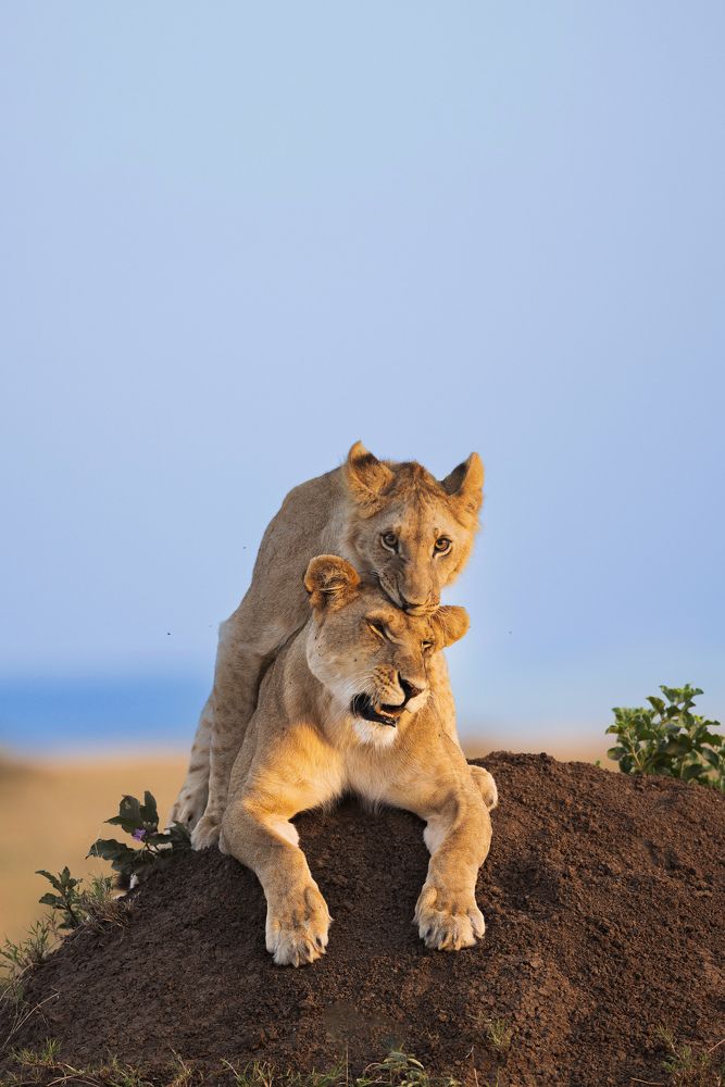 Photograph by SaiKiran Bhagavatula