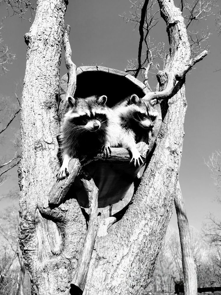 Photograph by Татьяна Бухтиярова