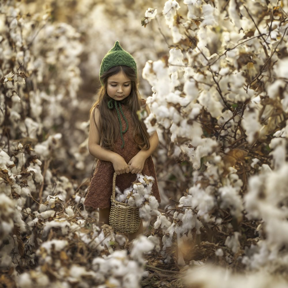 Photograph by Tahel Shenhav