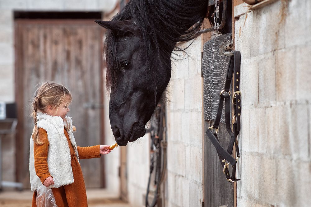 Photograph by Юлия Немченко