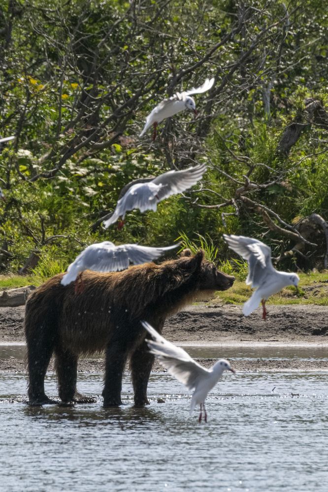 Photograph by Юлия Хобта