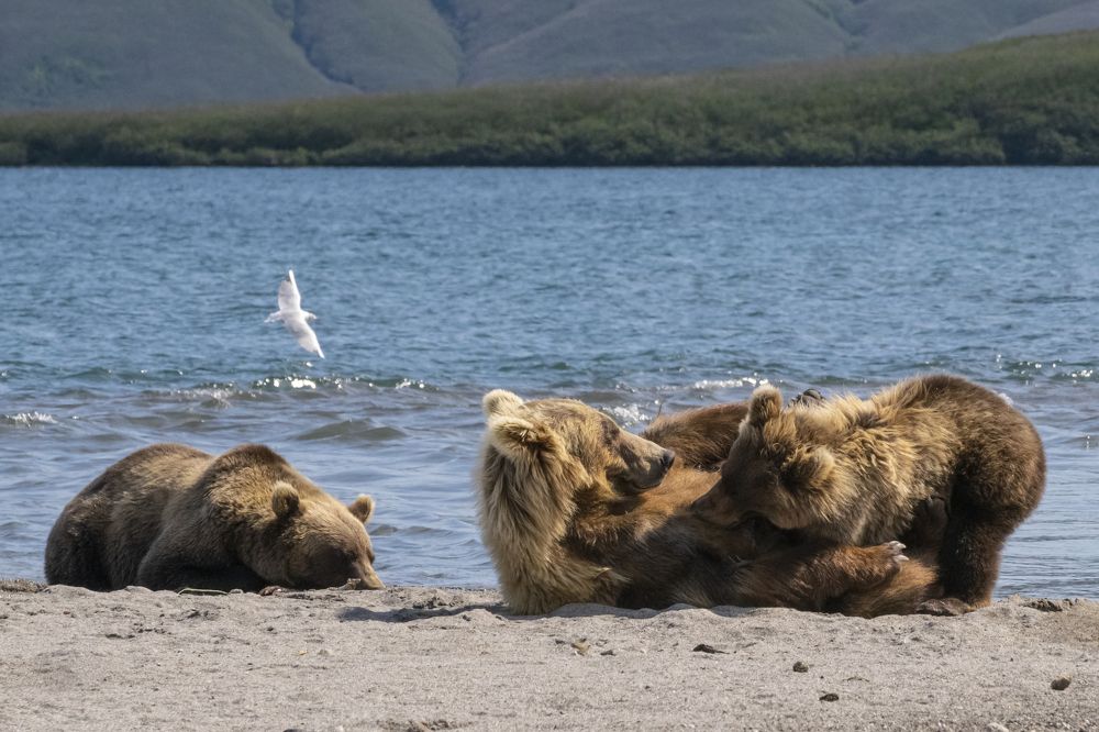 Photograph by Юлия Хобта