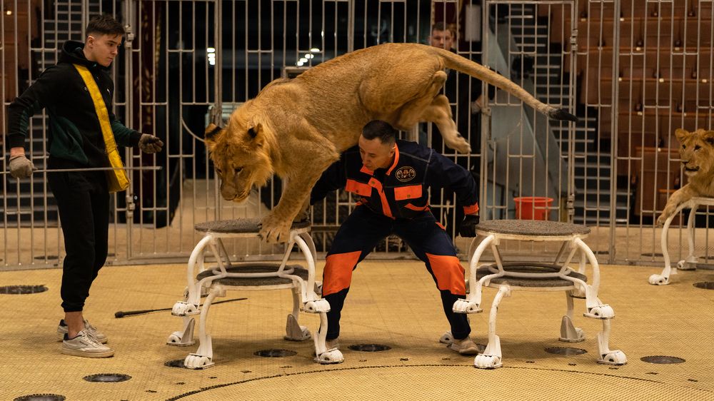 Photograph by Ольга Пачина