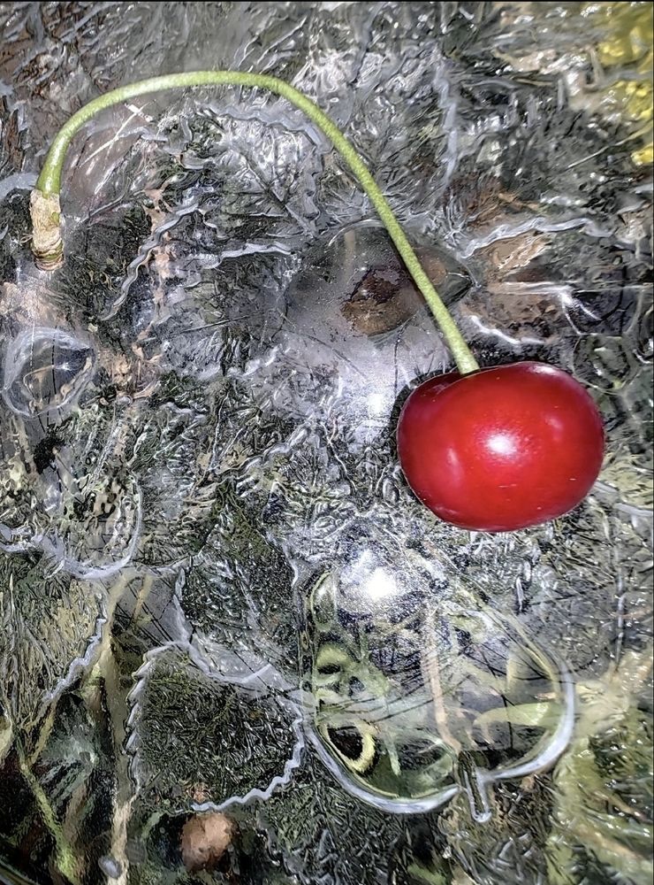 Photograph by Ирина Тихая