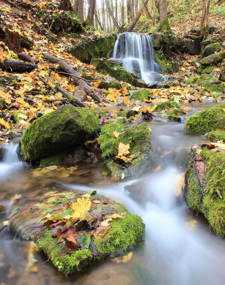 Photograph by Суетинов Евгений