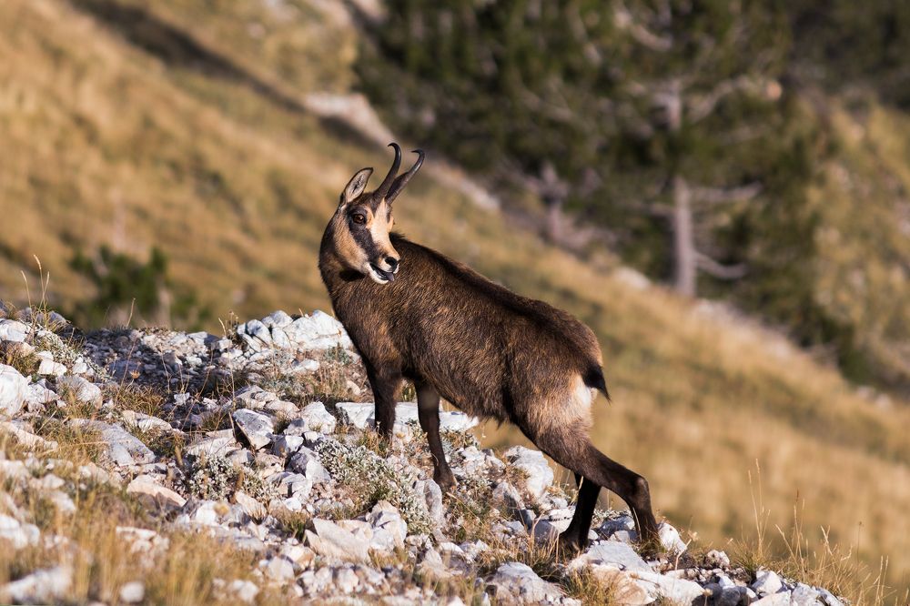 Photograph by Vania Tonova