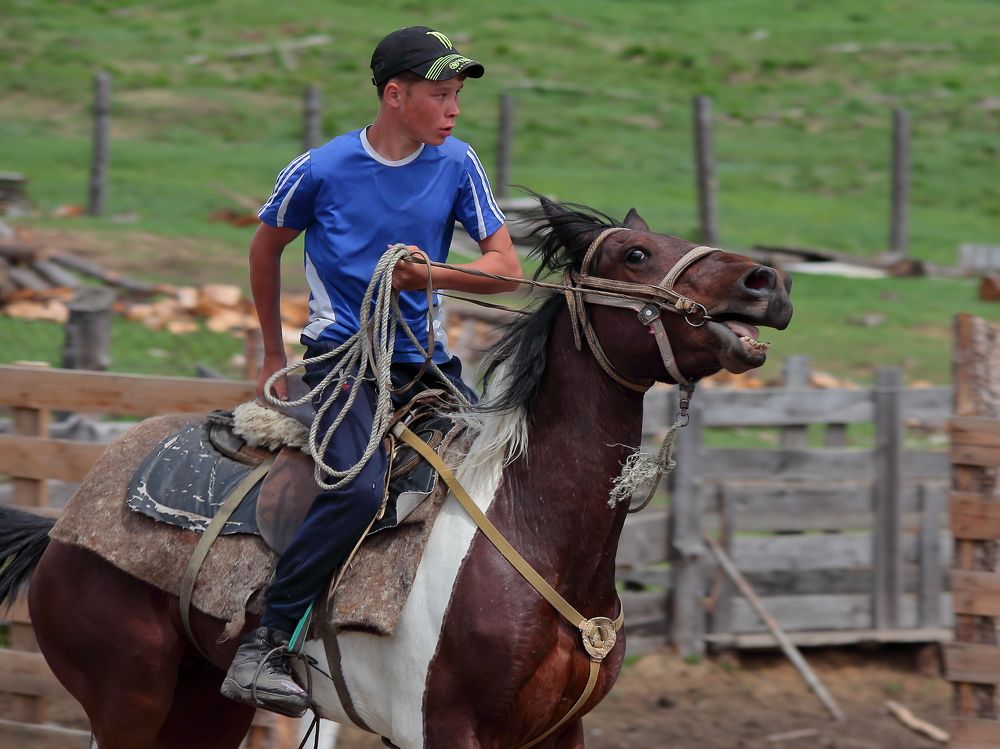 Photograph by Александр Полюдов