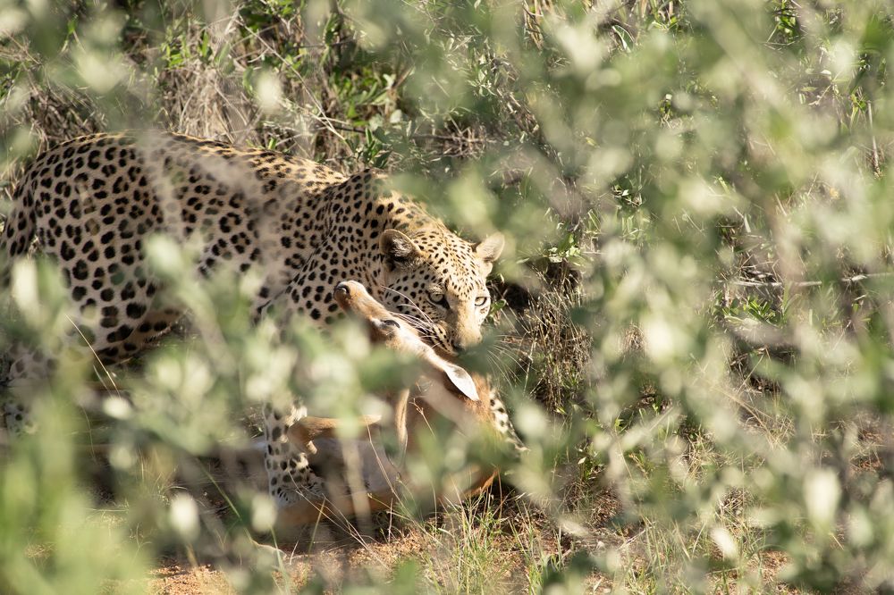 Photograph by Игорь Чебунин