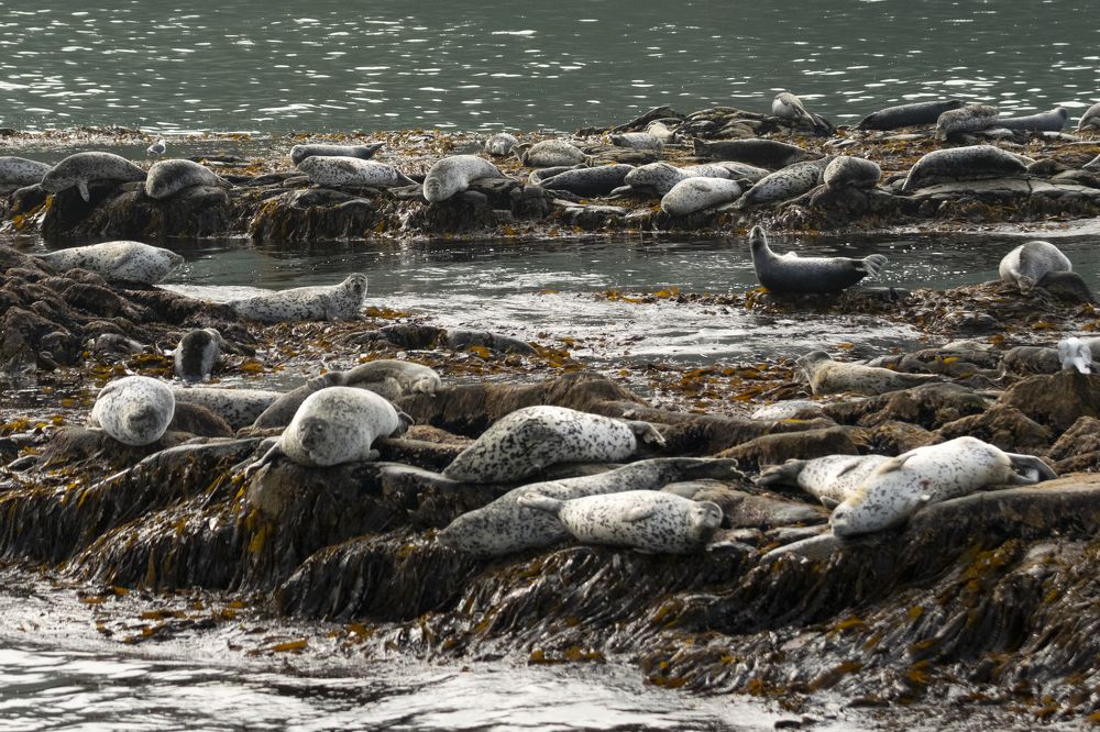 Photograph by Юлия Хобта