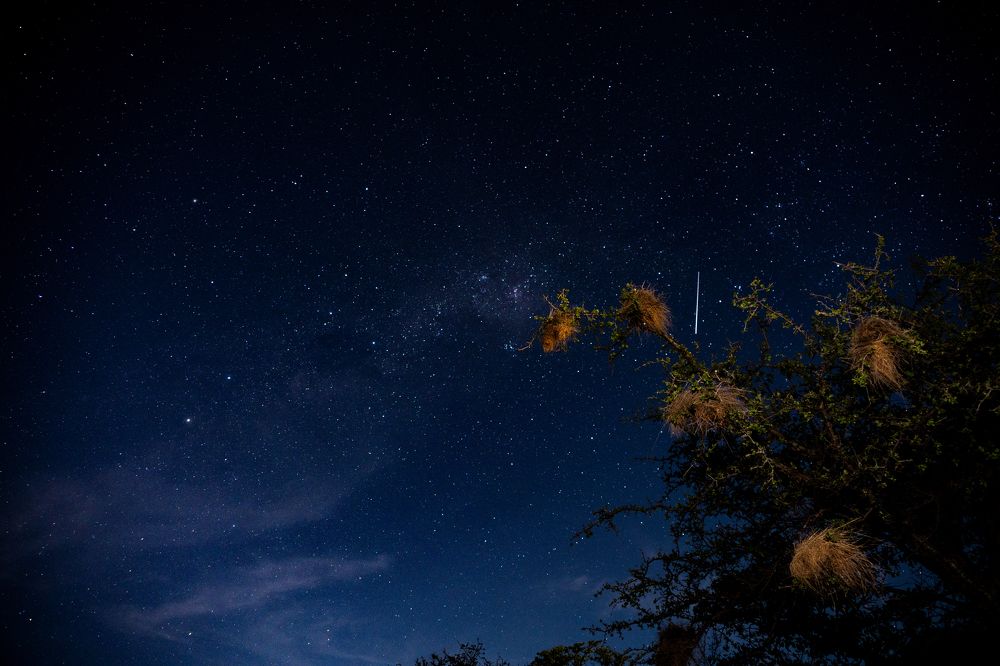 Falling star. Namibia