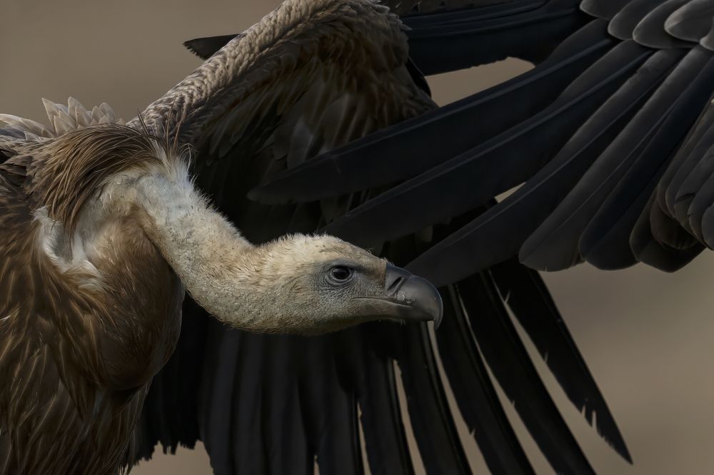 Photograph by Ernestas Balcikonis