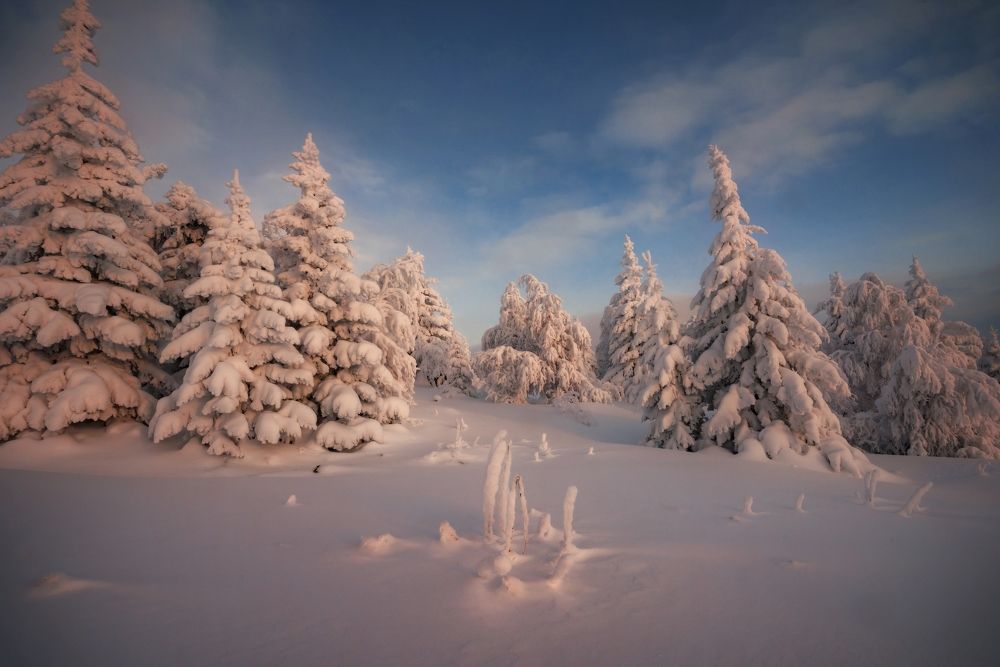 Зимняя сказка