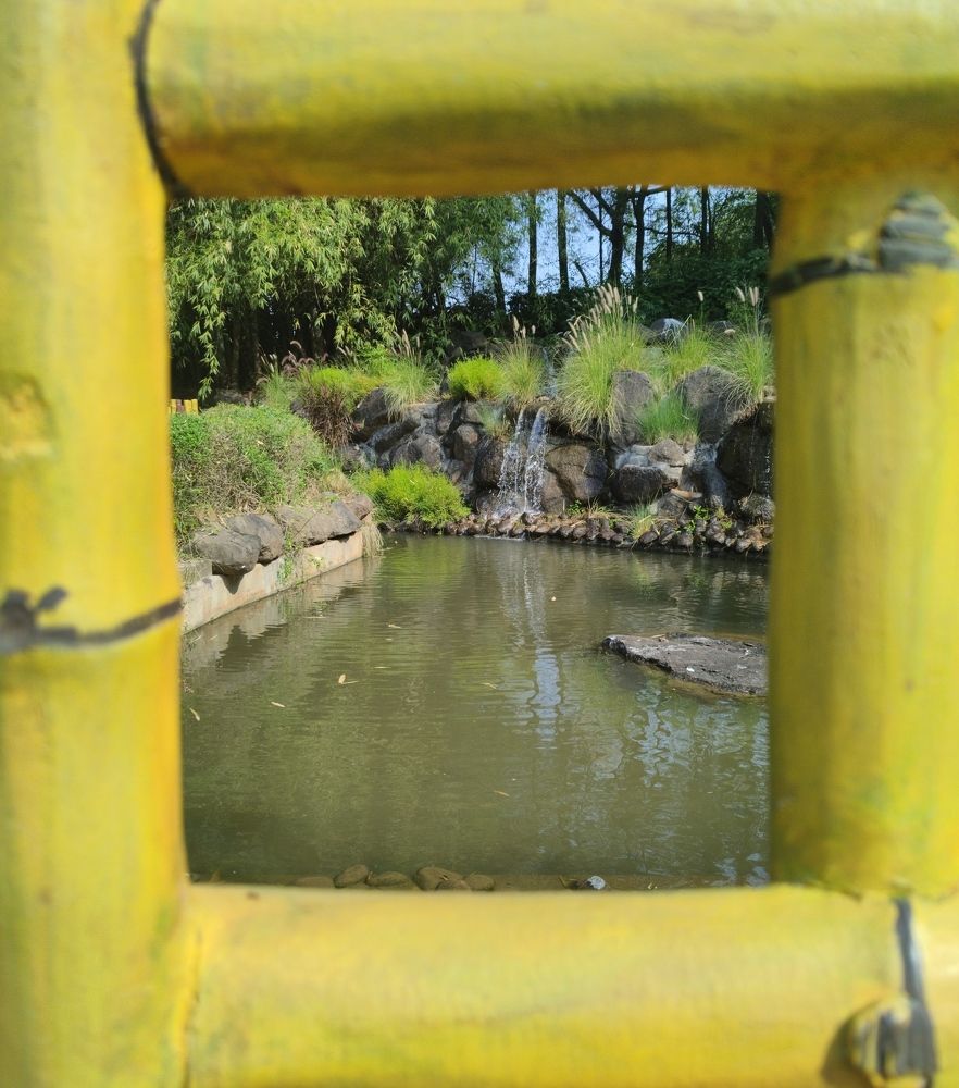 Photo #9961488
