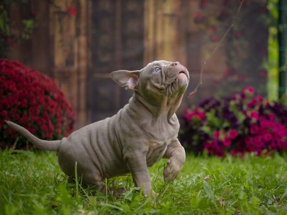 Photograph by Dina Damotseva