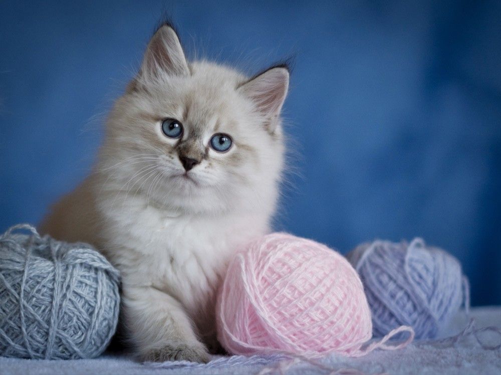 Photograph by Dina Damotseva