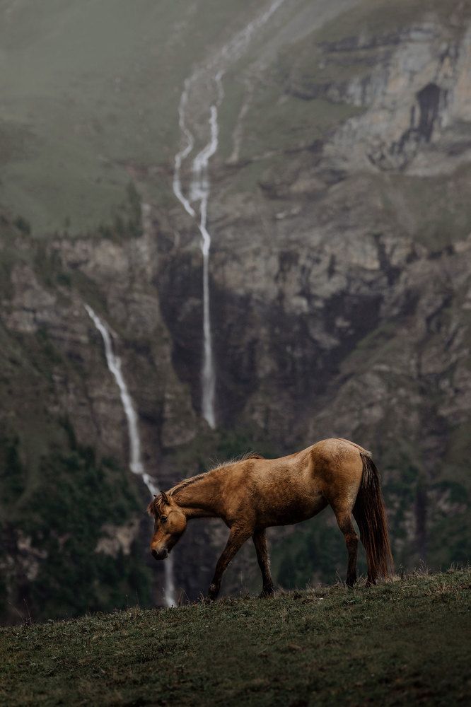 Photograph by Lara (Larabaeri)