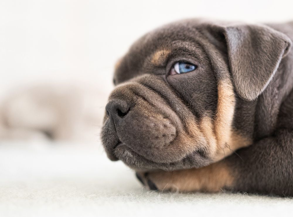 Photograph by Елена Якусева