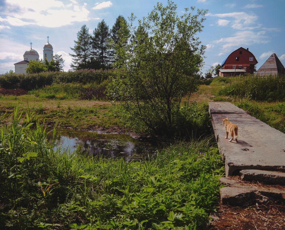 Photograph by Баженова Наталья