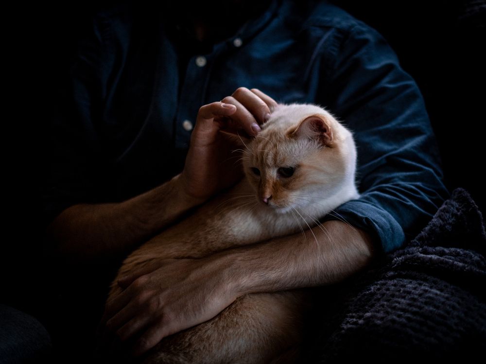 Photograph by Dina Damotseva