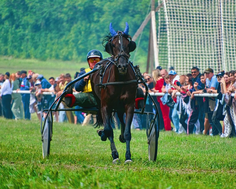 Photograph by Ильдар Балеев