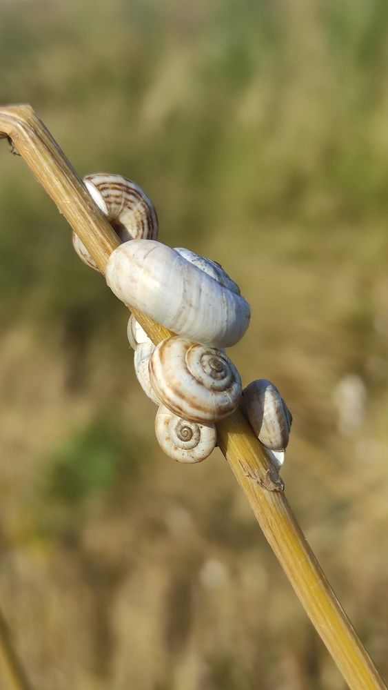 Фотография автора Васильева Ирина
