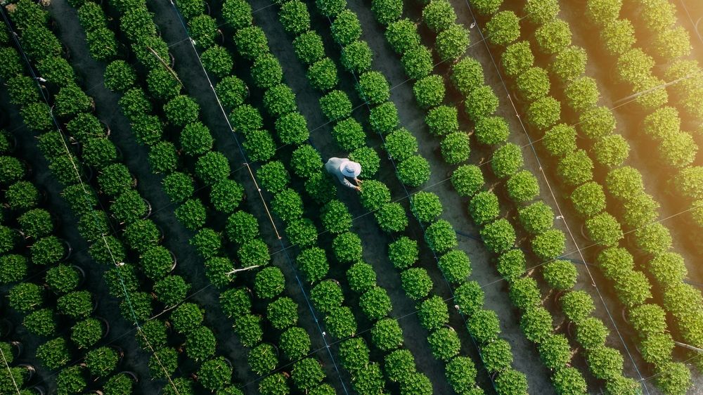 Photograph by Trinh Khoi Nguyen