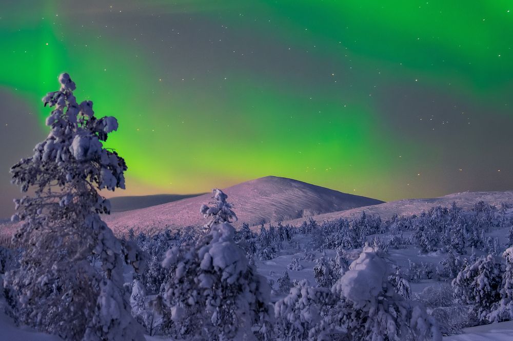 Фотография автора Мика Петров