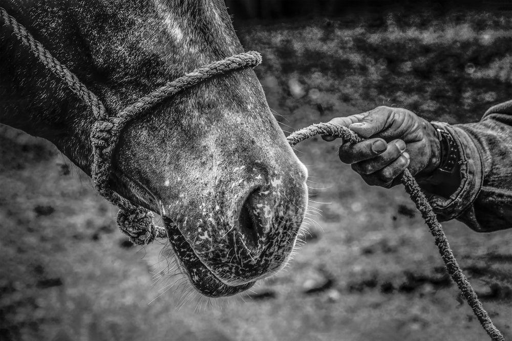 Photograph by Yeney Ramos Camejo