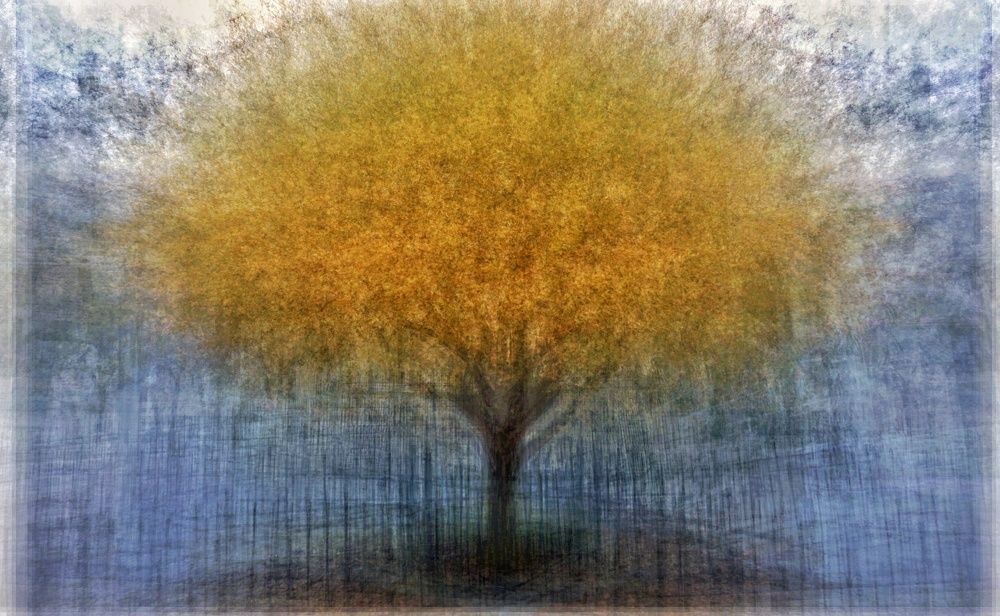 Photograph by Dimitris Lapousis