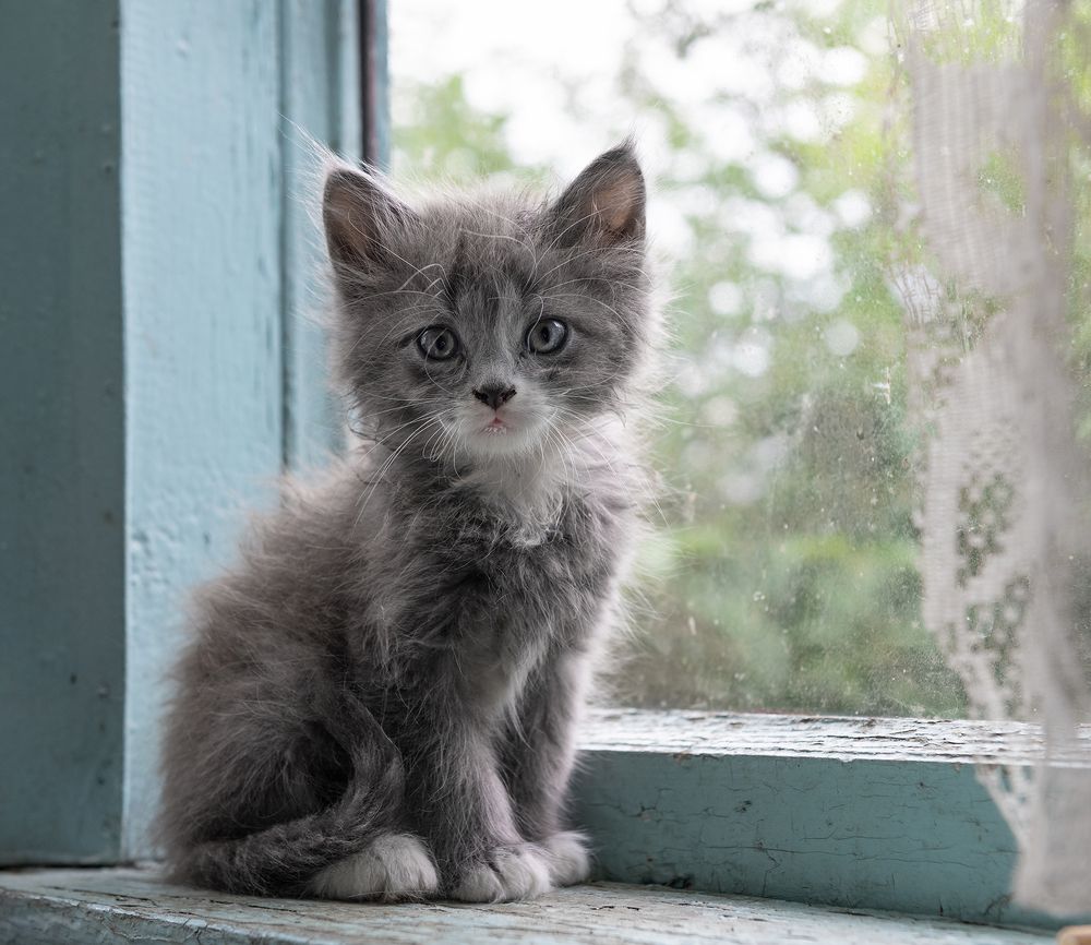 Photograph by Артём Гладченко