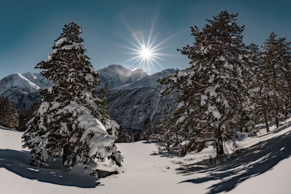 Фотография автора Zakharov Armen