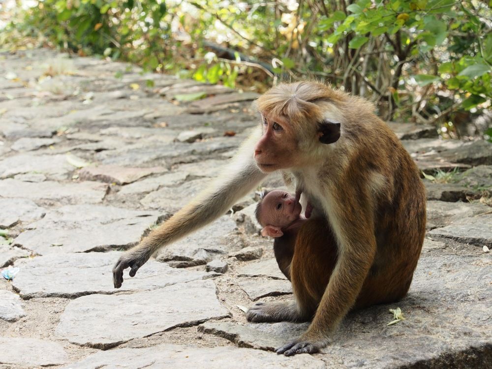 Photograph by Ольга Лысенко