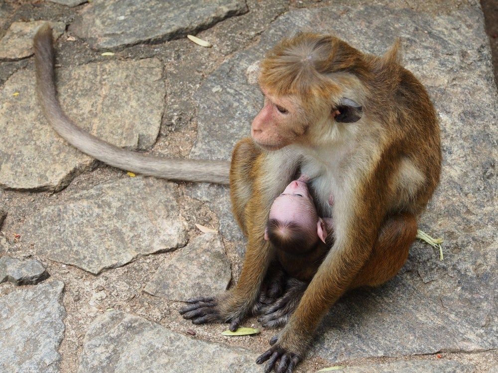 Photograph by Ольга Лысенко