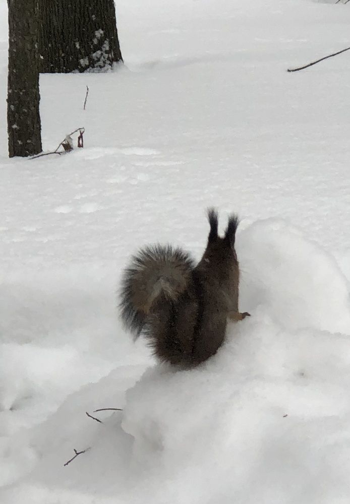 Photograph by Мария Бессмертная