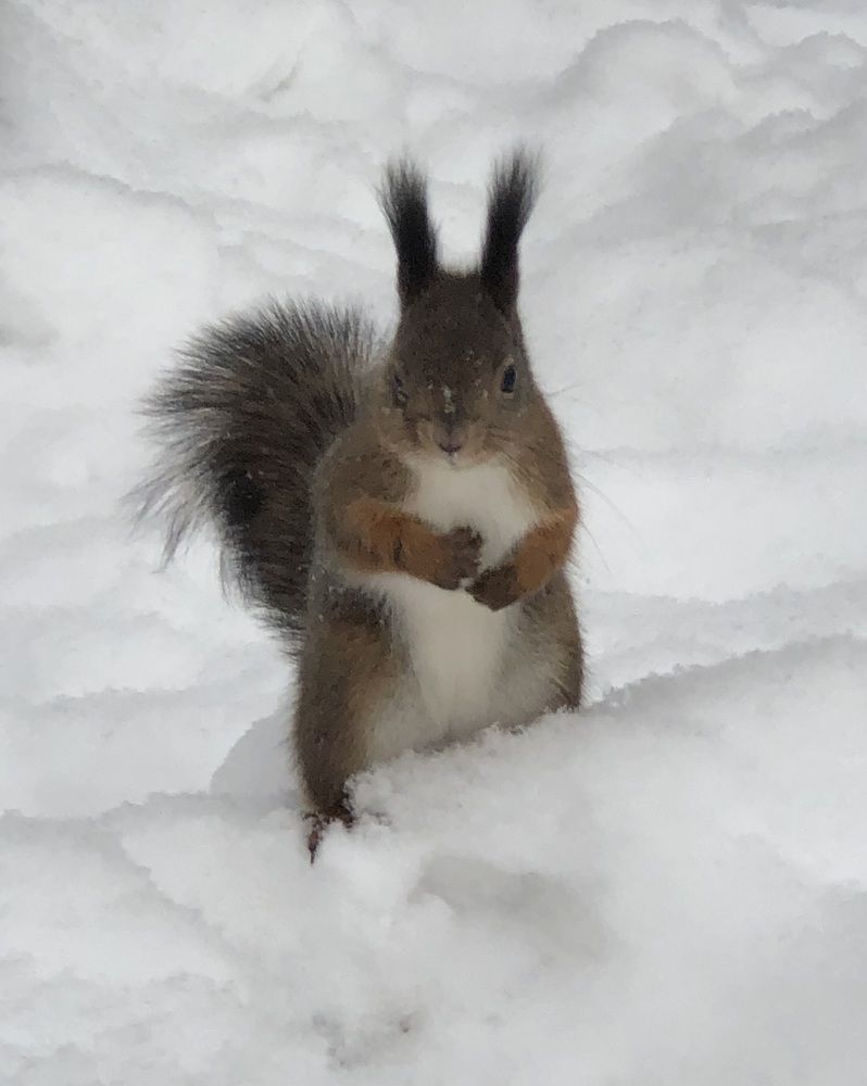 Photograph by Мария Бессмертная