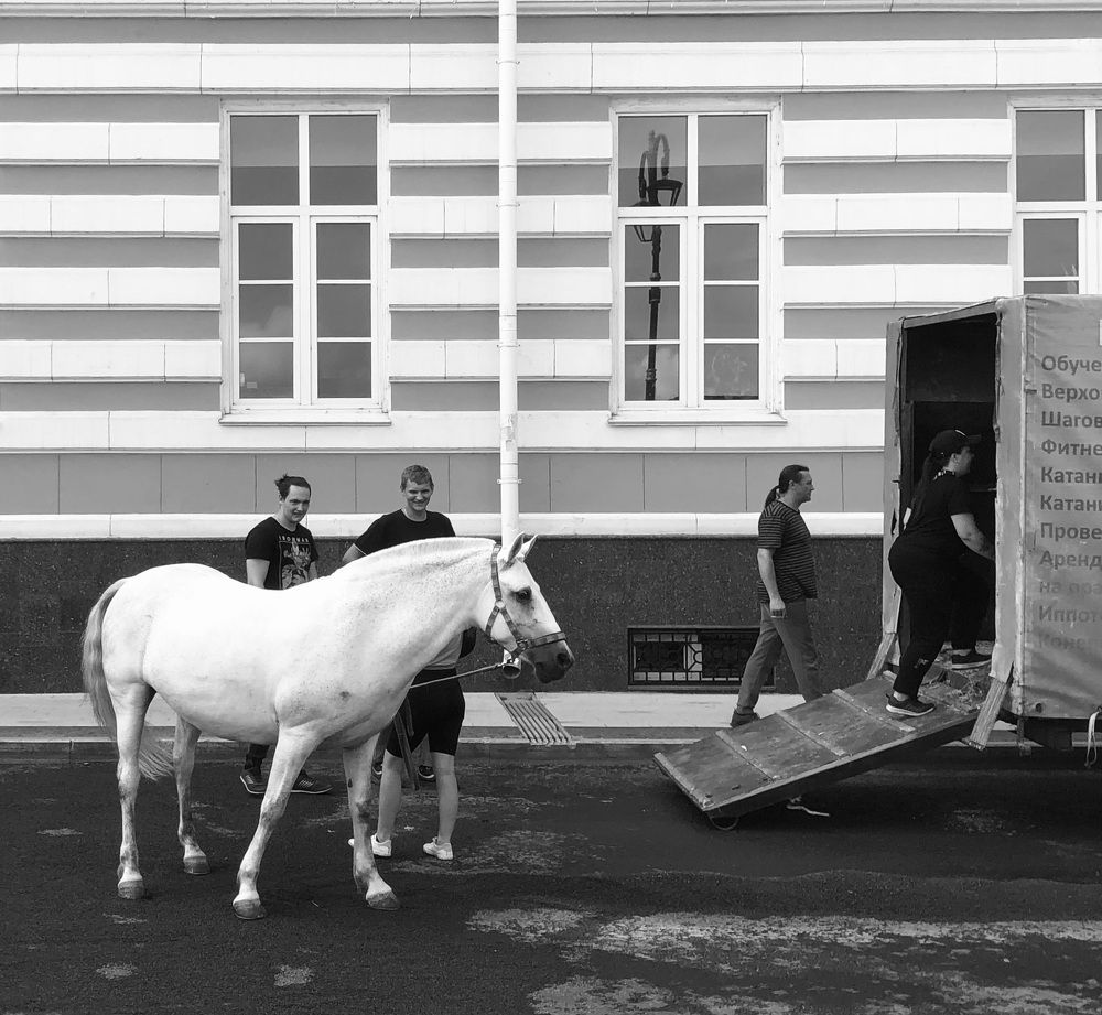 Photograph by Мария Бессмертная