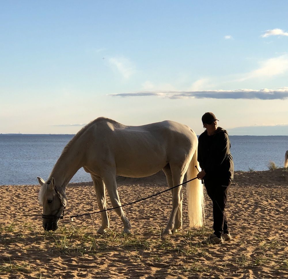 Photograph by Мария Бессмертная