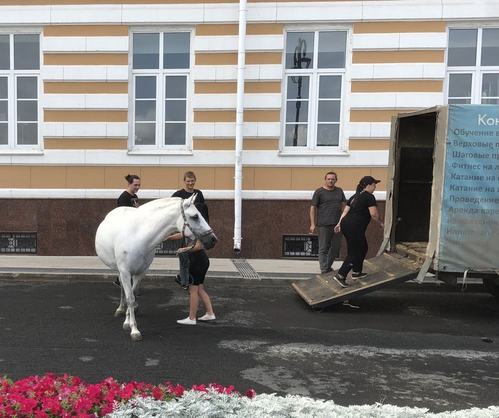 Photograph by Мария Бессмертная