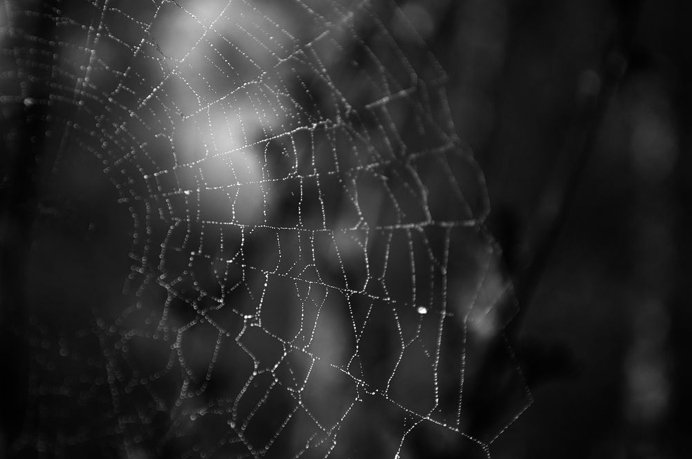 Photograph by Анна Кендик