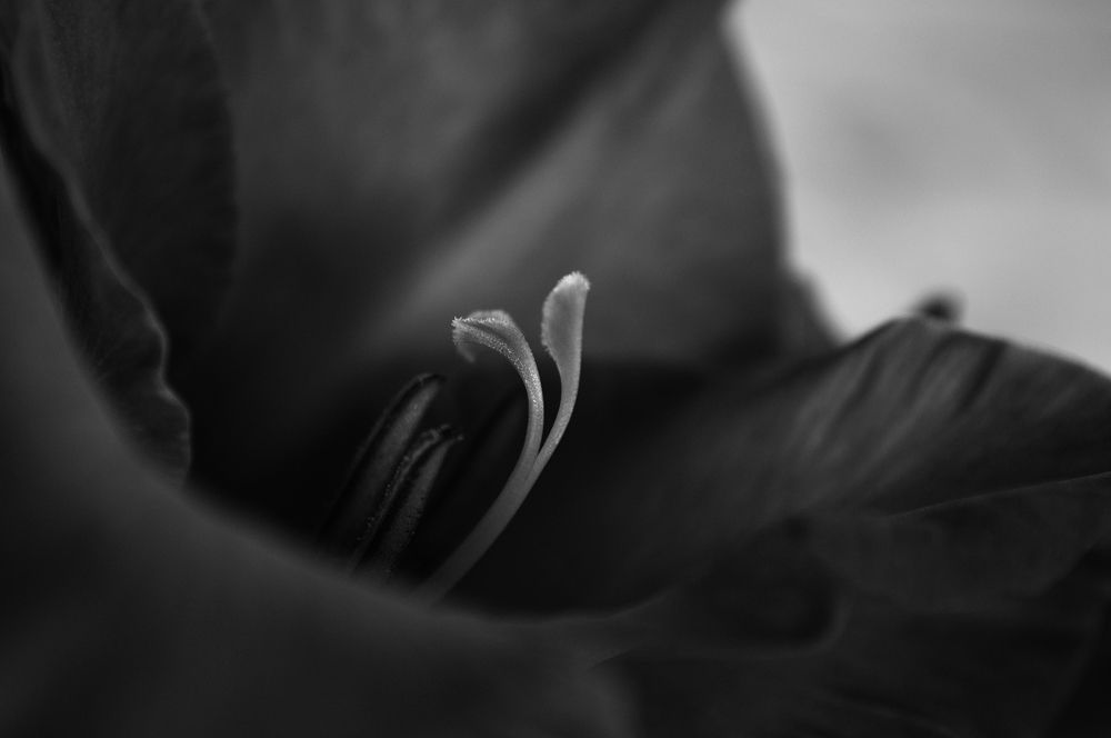 Photograph by Анна Кендик