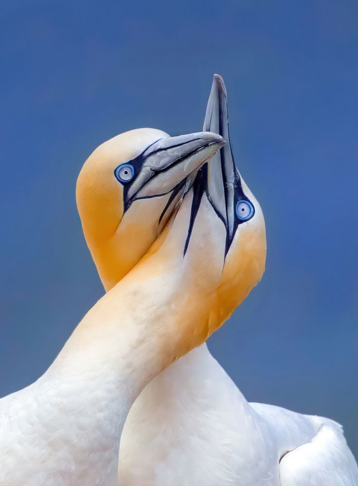 Photograph by Siju Thomas