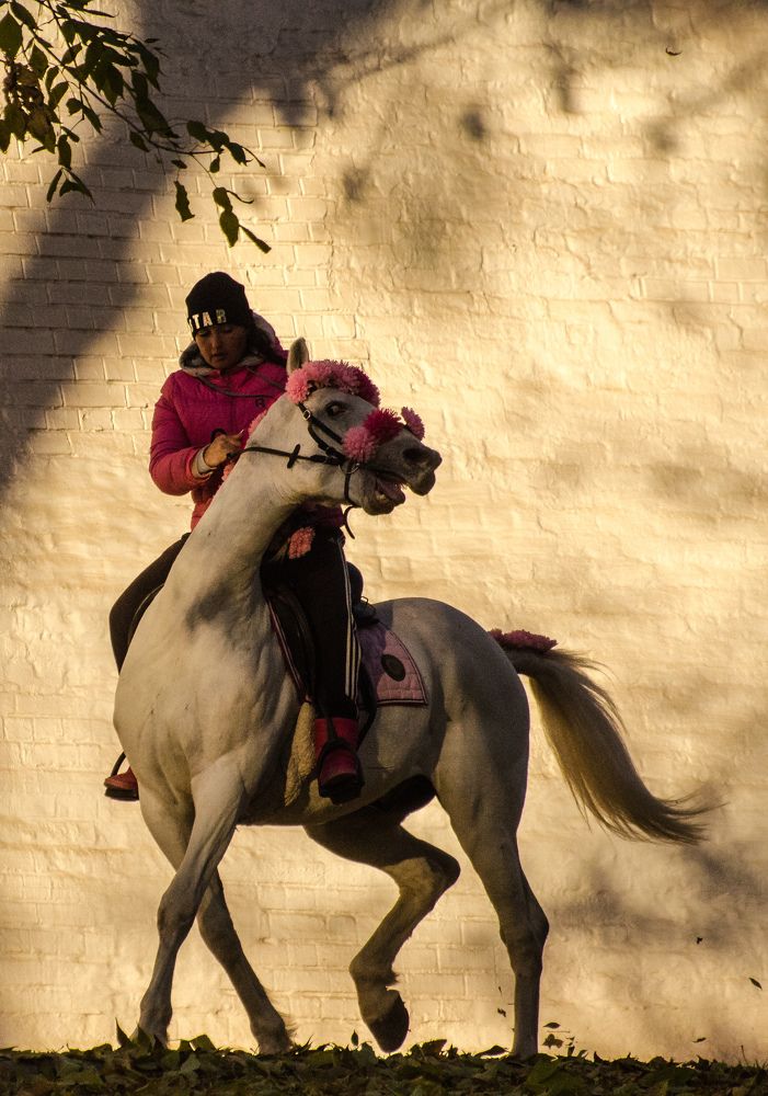 Photograph by Юрий Кизин